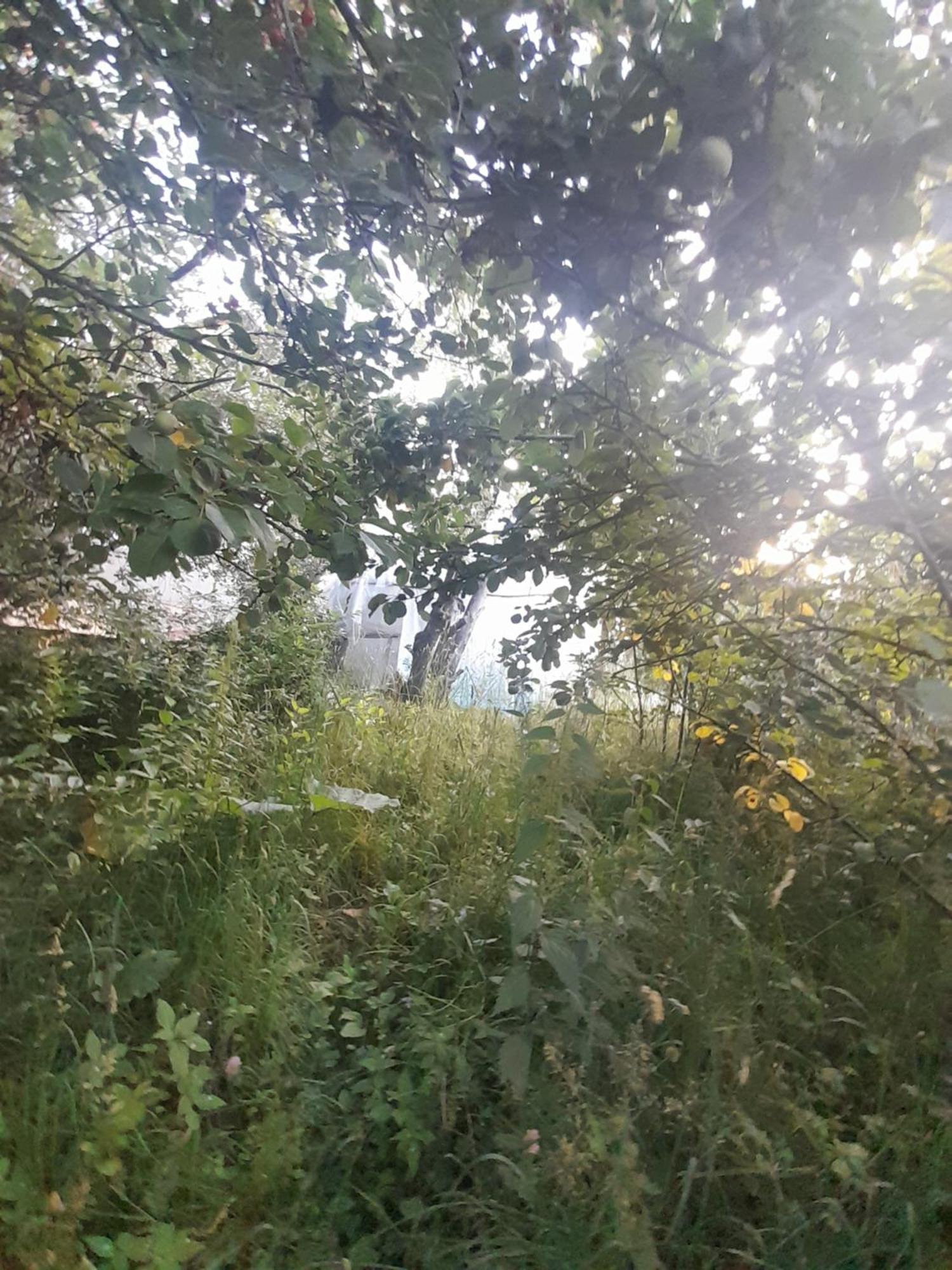Waterfall In The Yard Каракол Екстериор снимка
